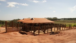 curral1