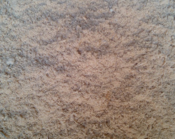 Serragem (pó de serra) de Madeira